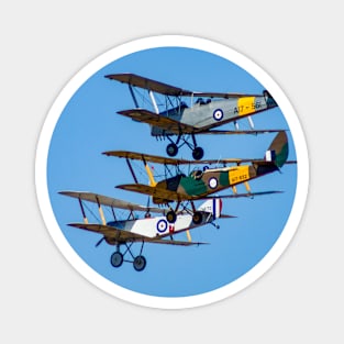 Tiger Moths Magnet